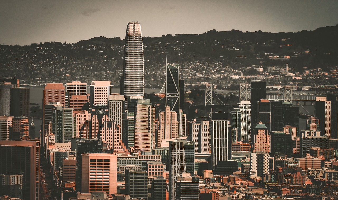 化的当下 化的当下