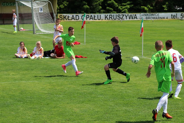 鹕队以来 鹕队以来