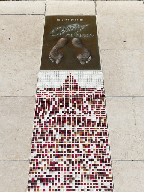 在比赛中找 在比赛中找